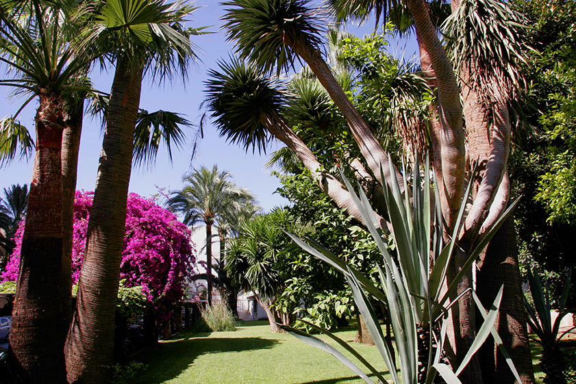 Hotel Apartamentos Bajondillo トレモリノス エクステリア 写真 The garden of the villa